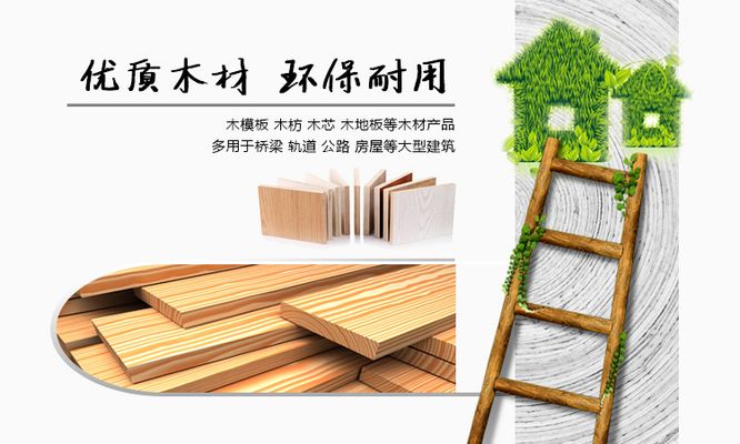 专访君道住工董事长秦少秋：应变而生，乘变而兴